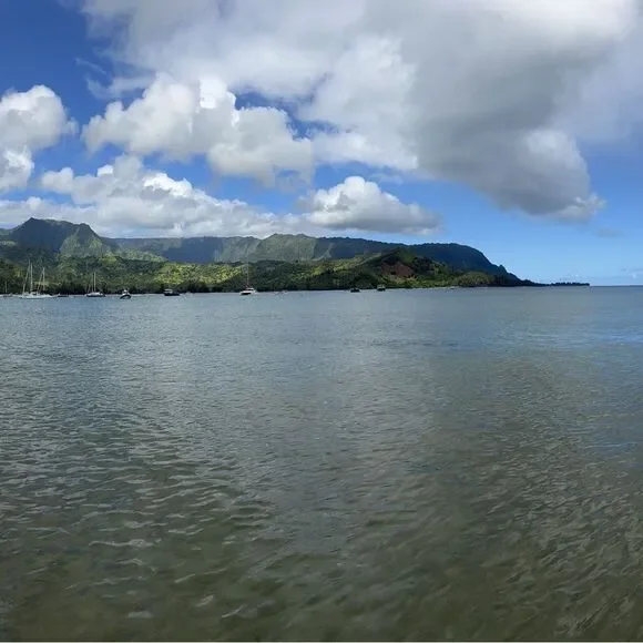 The Poshalots live listing! - Picture 4 of 7